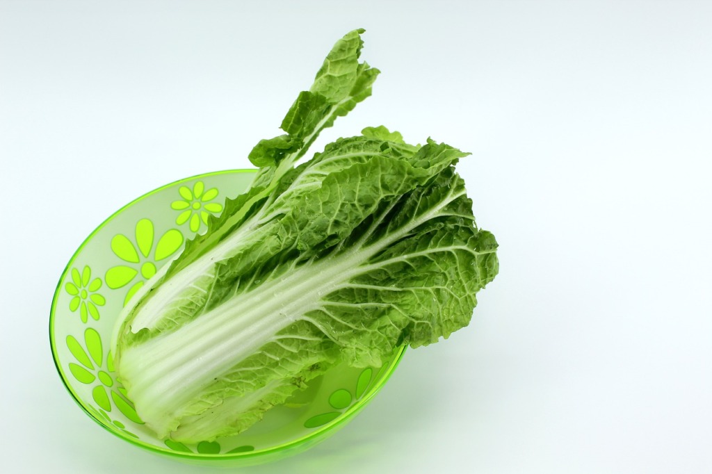 Beijing Cabbage Chinese Cabbage Food  - misskursovie2013 / Pixabay