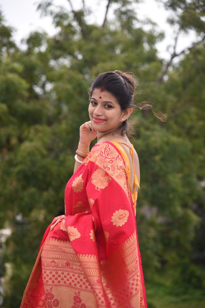 Bengali Woman Traditional Clothes  - dasgoutam94 / Pixabay