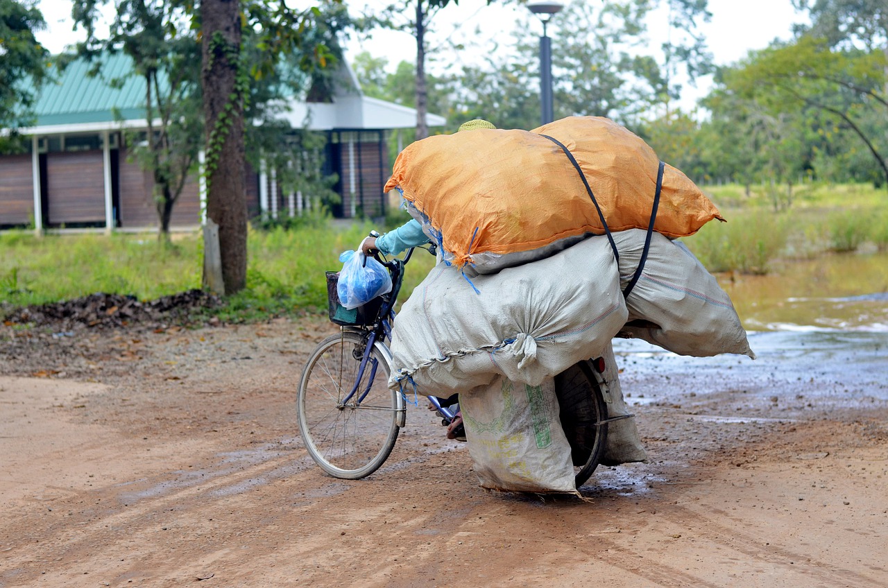 Bicycle Heavy Load Travel Road - travelphotographer / Pixabay