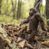 Bigfoot Evolution Anthropoid Ape  - RyanMcGuire / Pixabay