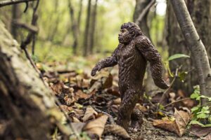 Bigfoot Evolution Anthropoid Ape  - RyanMcGuire / Pixabay