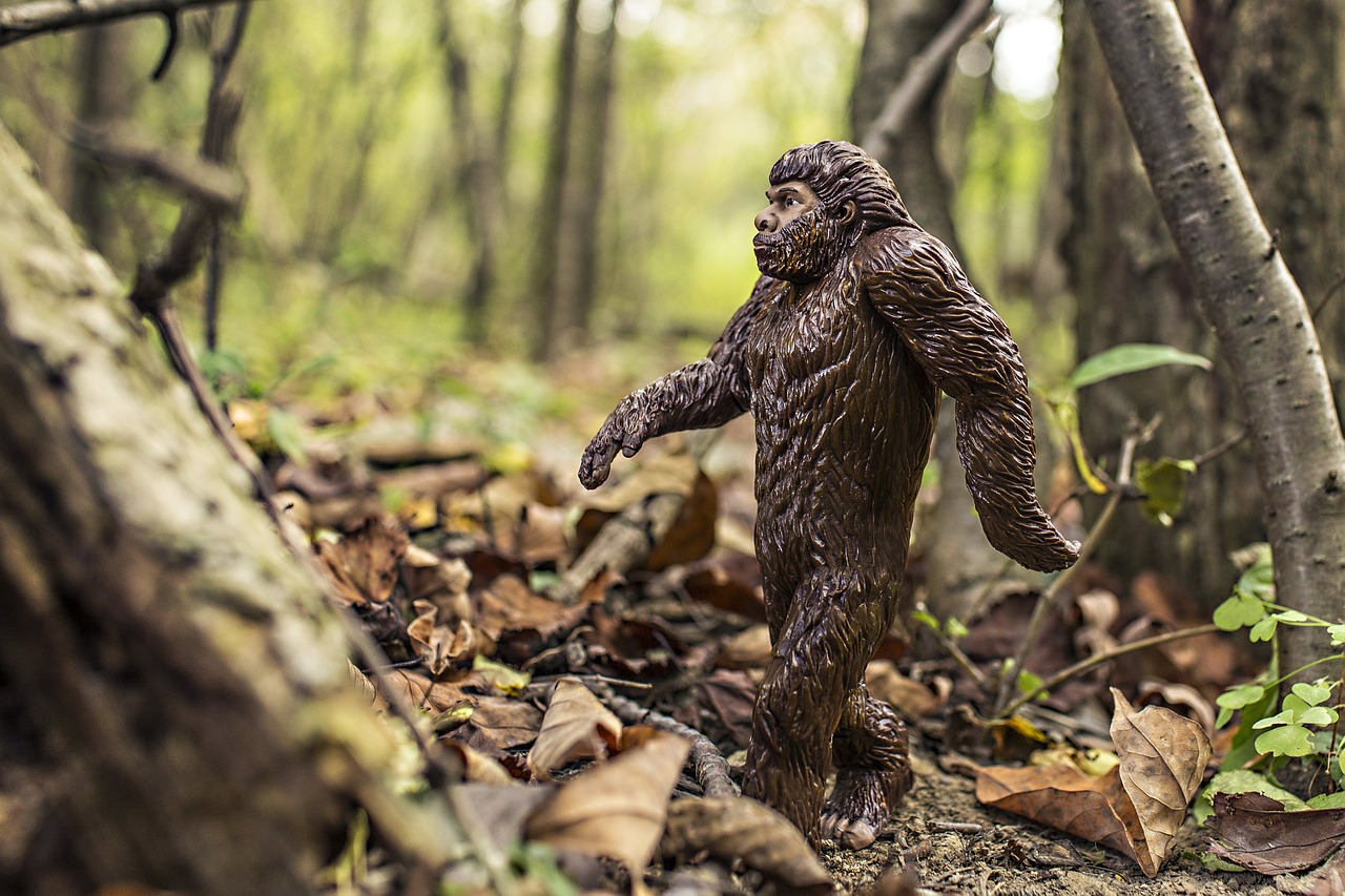 Bigfoot Evolution Anthropoid Ape - RyanMcGuire / Pixabay