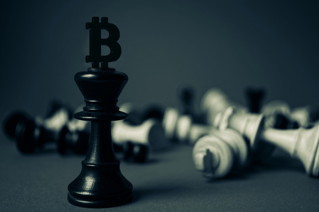 Bitcoin Chess King Game Winner  - geralt / Pixabay