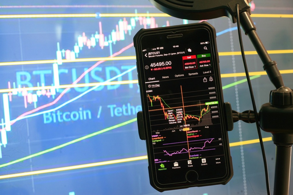 Bitcoin Crypto Stock Chart Trading  - sergeitokmakov / Pixabay