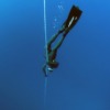 Blue Deep Diving Deep Ocean Dive  - Pexels / Pixabay