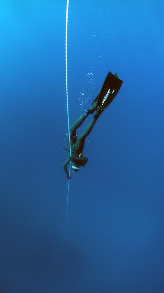 Blue Deep Diving Deep Ocean Dive  - Pexels / Pixabay