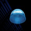 Blue Light Light Fixture Lamp Dark  - Iain5152 / Pixabay