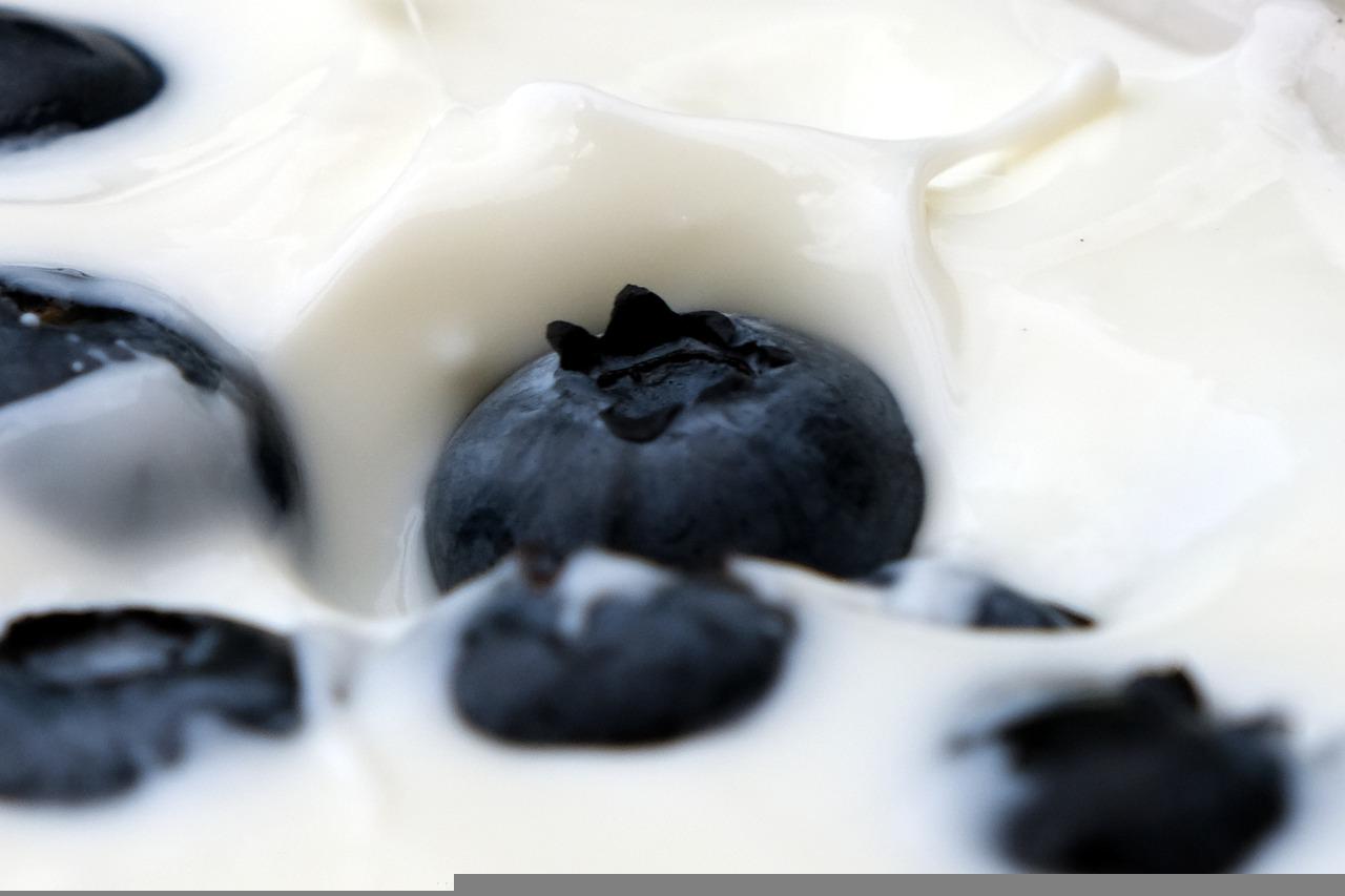 Blueberries Yogurt Food Fruit - NIL-Foto / Pixabay