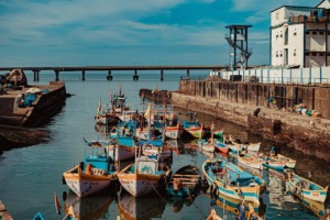 Boats Docks Fishing Boats Fishermen  - ibrahimpoonawala553 / Pixabay