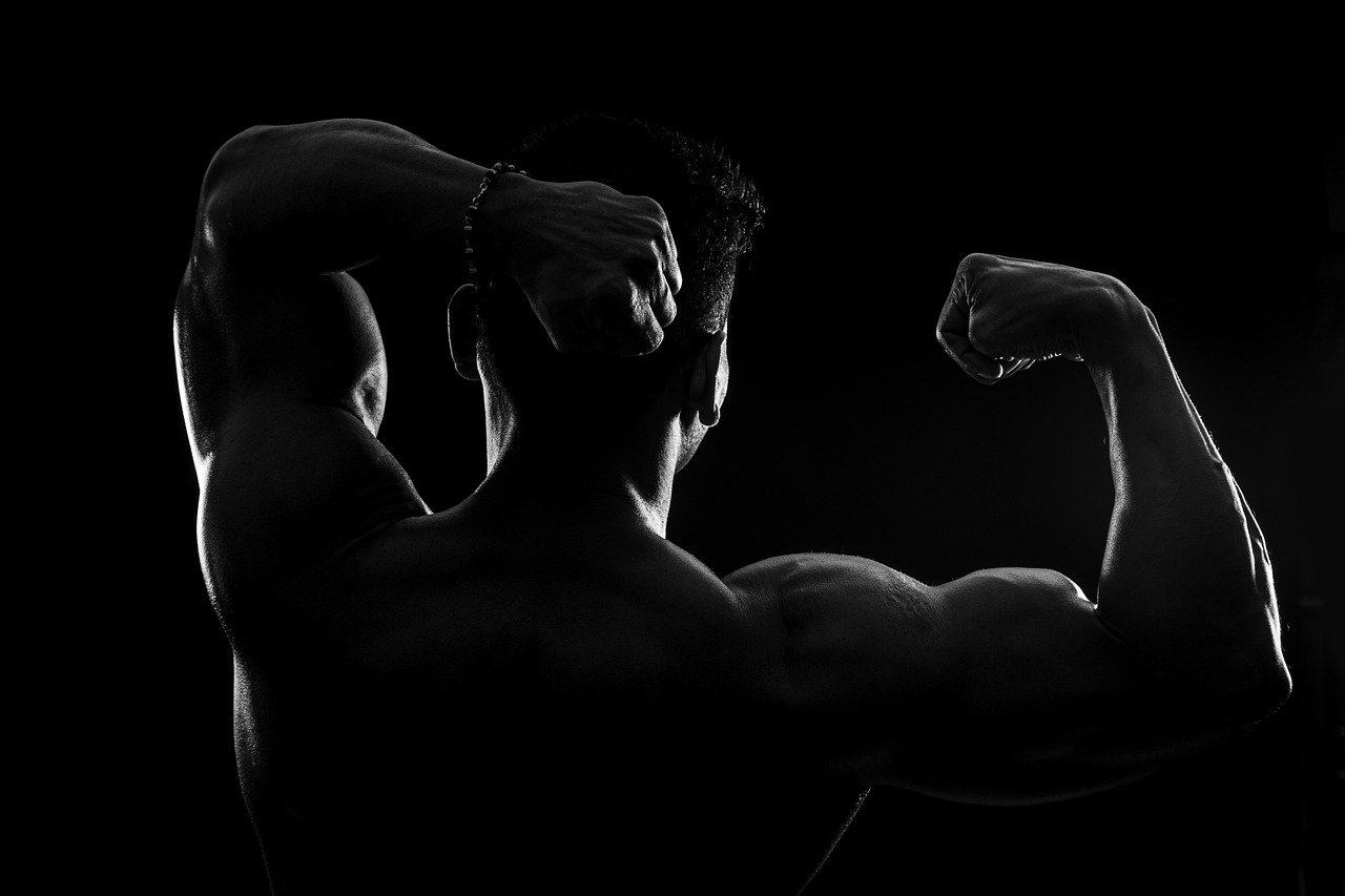 Bodybuilder Fitness Silhouette  - pashminu / Pixabay