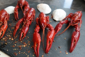 Boiled Crayfish Eat Food Claw  - Irenna86 / Pixabay