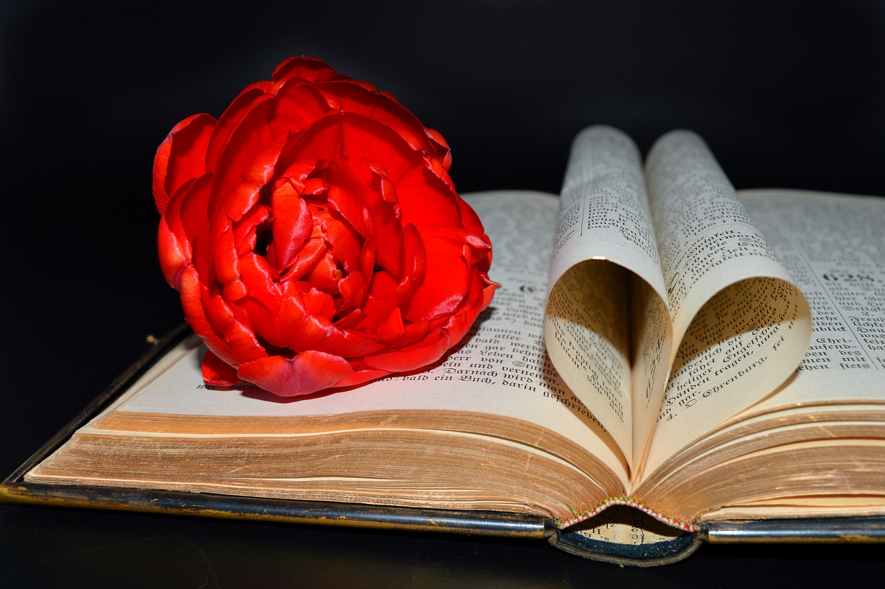Book Bible Heart Pages Red Tulip  - neelam279 / Pixabay