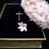 Book Bible Hyacinth Believe Cross  - neelam279 / Pixabay