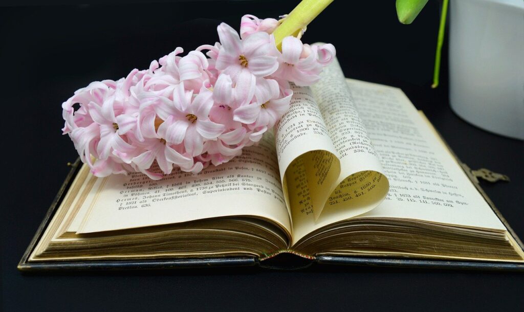 Book Bible Hyacinth Heart Pages  - neelam279 / Pixabay