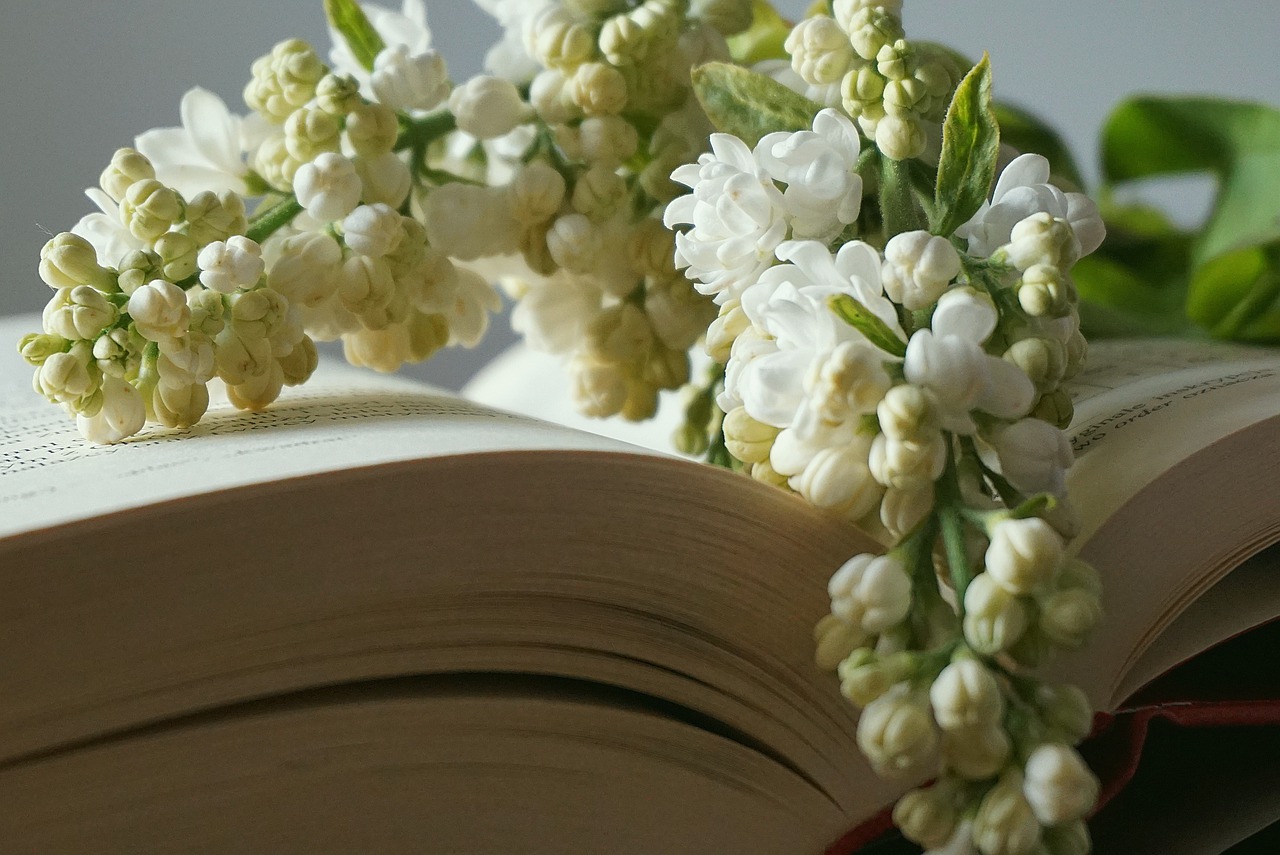 Book Bookmark With Flowers  - Nowaja / Pixabay