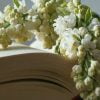 Book Bookmark With Flowers  - Nowaja / Pixabay
