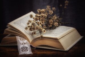 Book Dried Flowers Daisies Bouquet  - Rosy_Photo / Pixabay