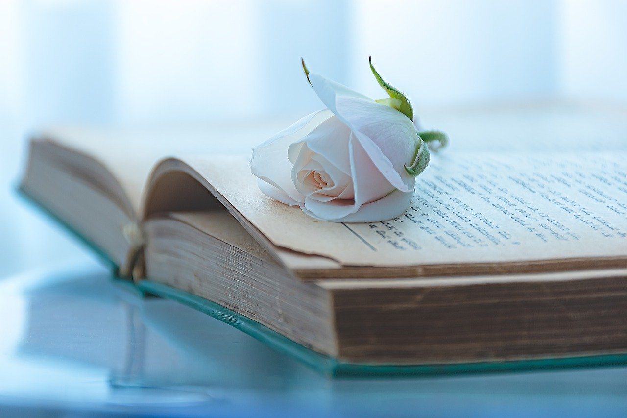 Book Flower Botany Bloom Rose  - Ri_Ya / Pixabay