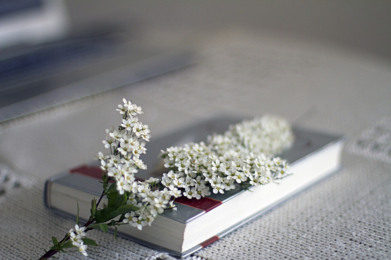 Book Flowers Spring Reading - OlgaVolkovitskaia / Pixabay