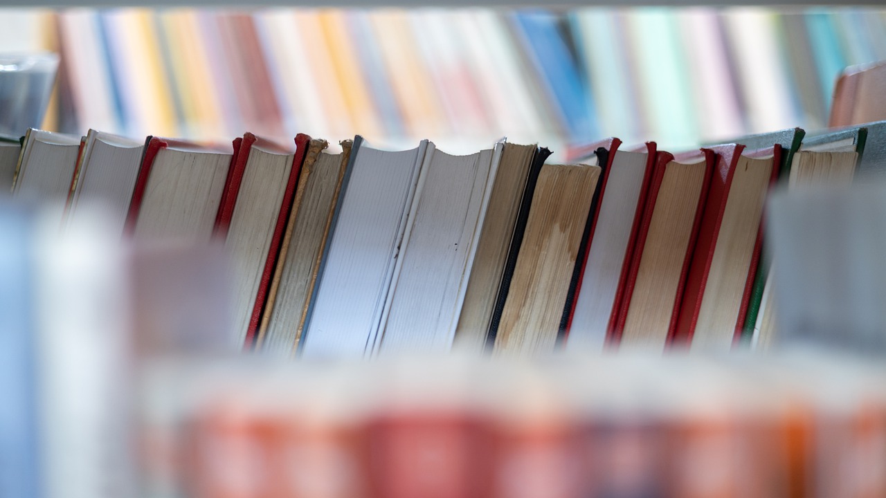 Book Library Shelf Reading Hobby  - Freedom-lover / Pixabay