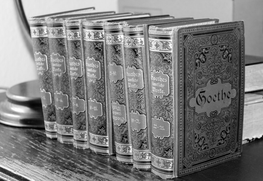 Book Literature Classics Library  - _Alicja_ / Pixabay