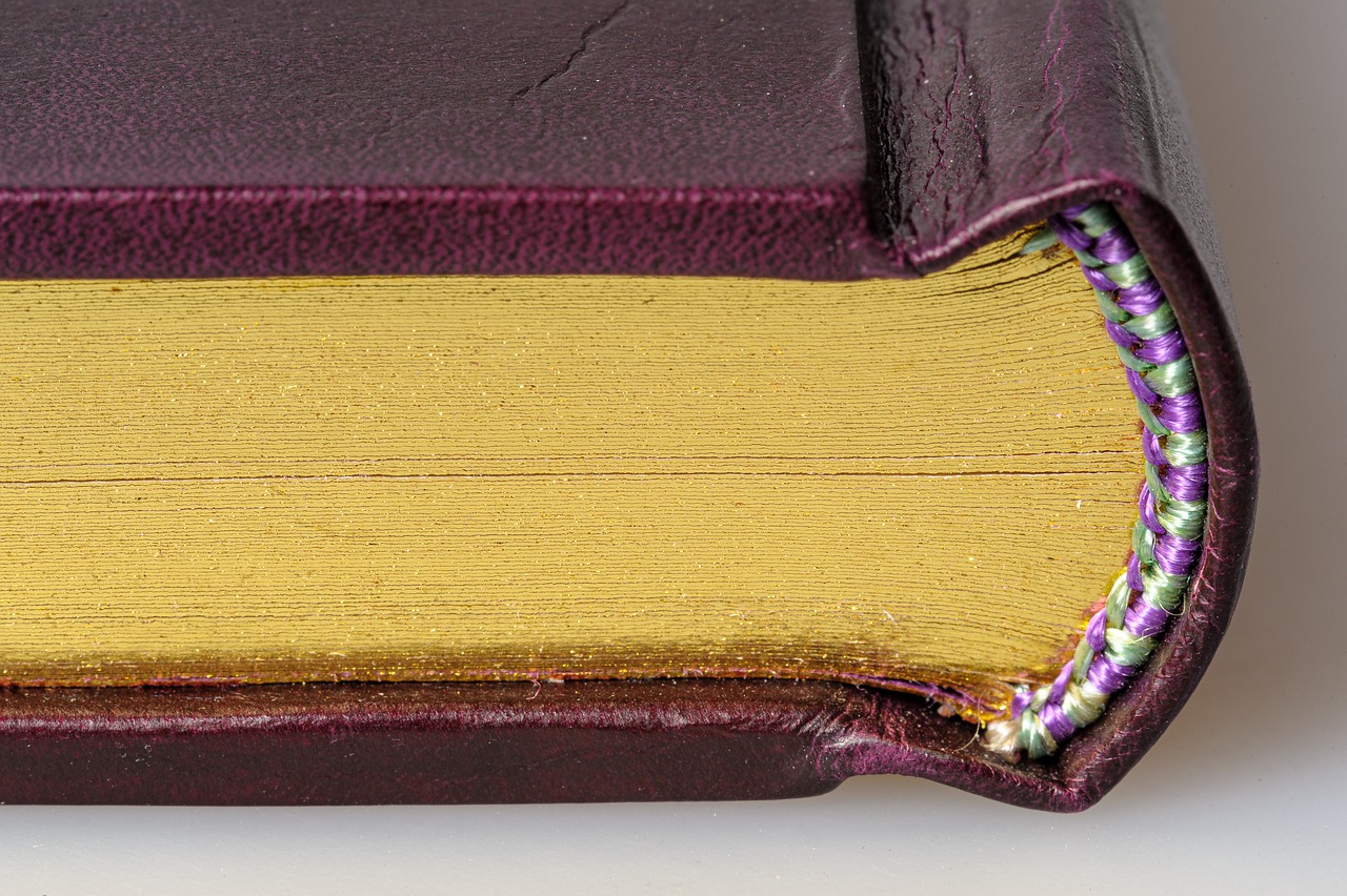 Book Literature Education  - BMeyendriesch / Pixabay