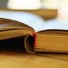 Book Literature Education Read  - Irenna86 / Pixabay