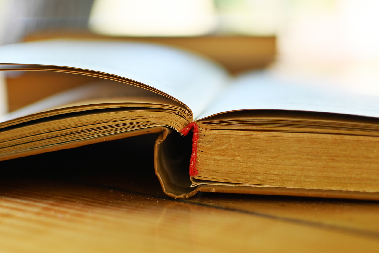 Book Literature Education Read  - Irenna86 / Pixabay