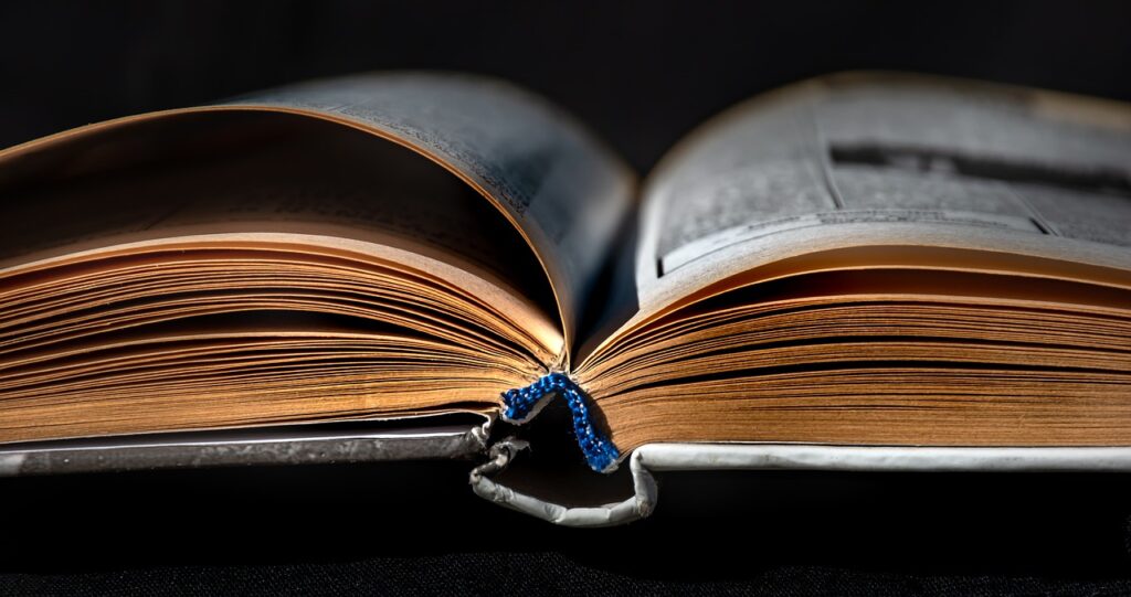 Book Literature Library Knowledge  - Ri_Ya / Pixabay
