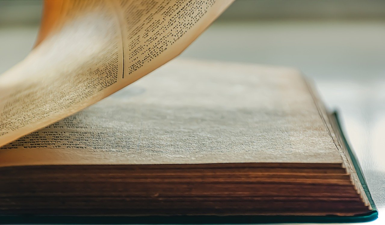 Book Literature Reading Library  - Ri_Ya / Pixabay