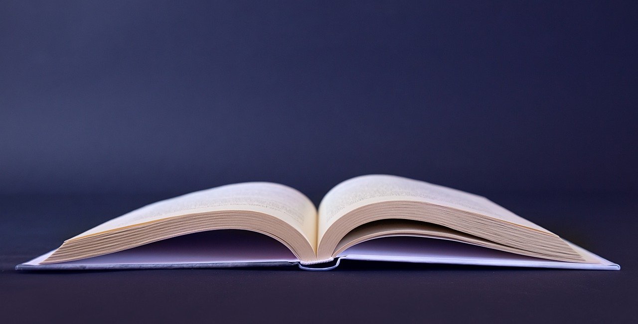 Book Literature Text Paper Educate  - sammy1990 / Pixabay