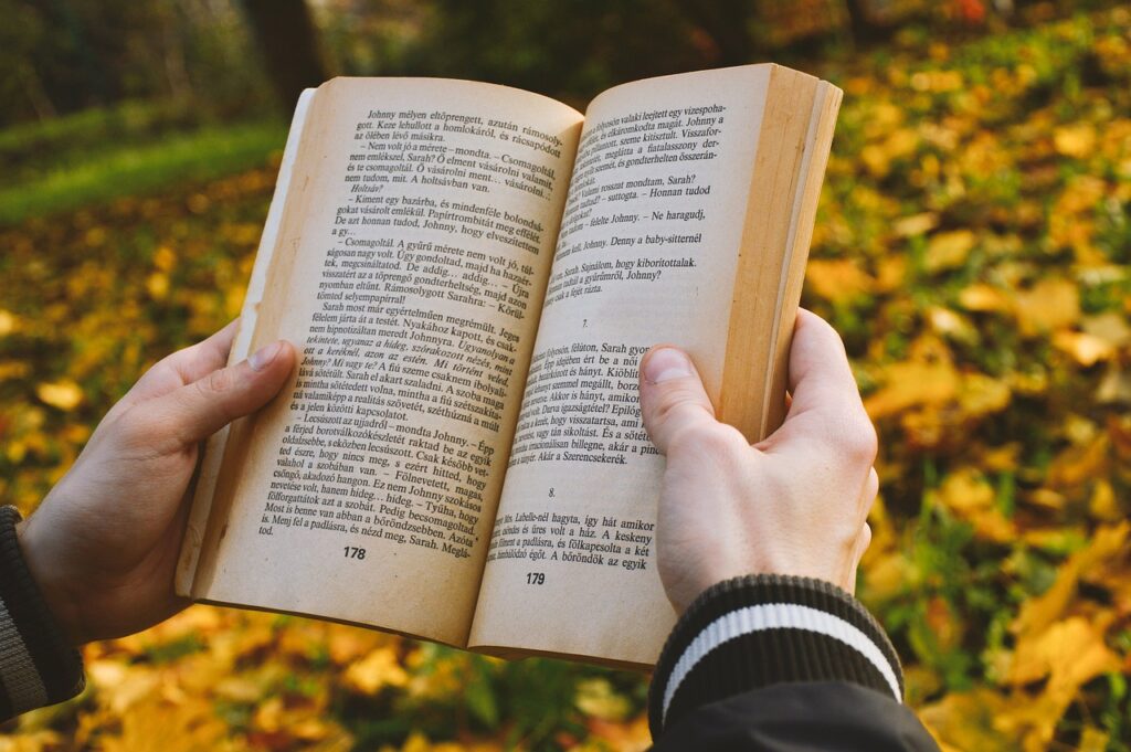 Book Novel Story Literature  - GeriArt / Pixabay