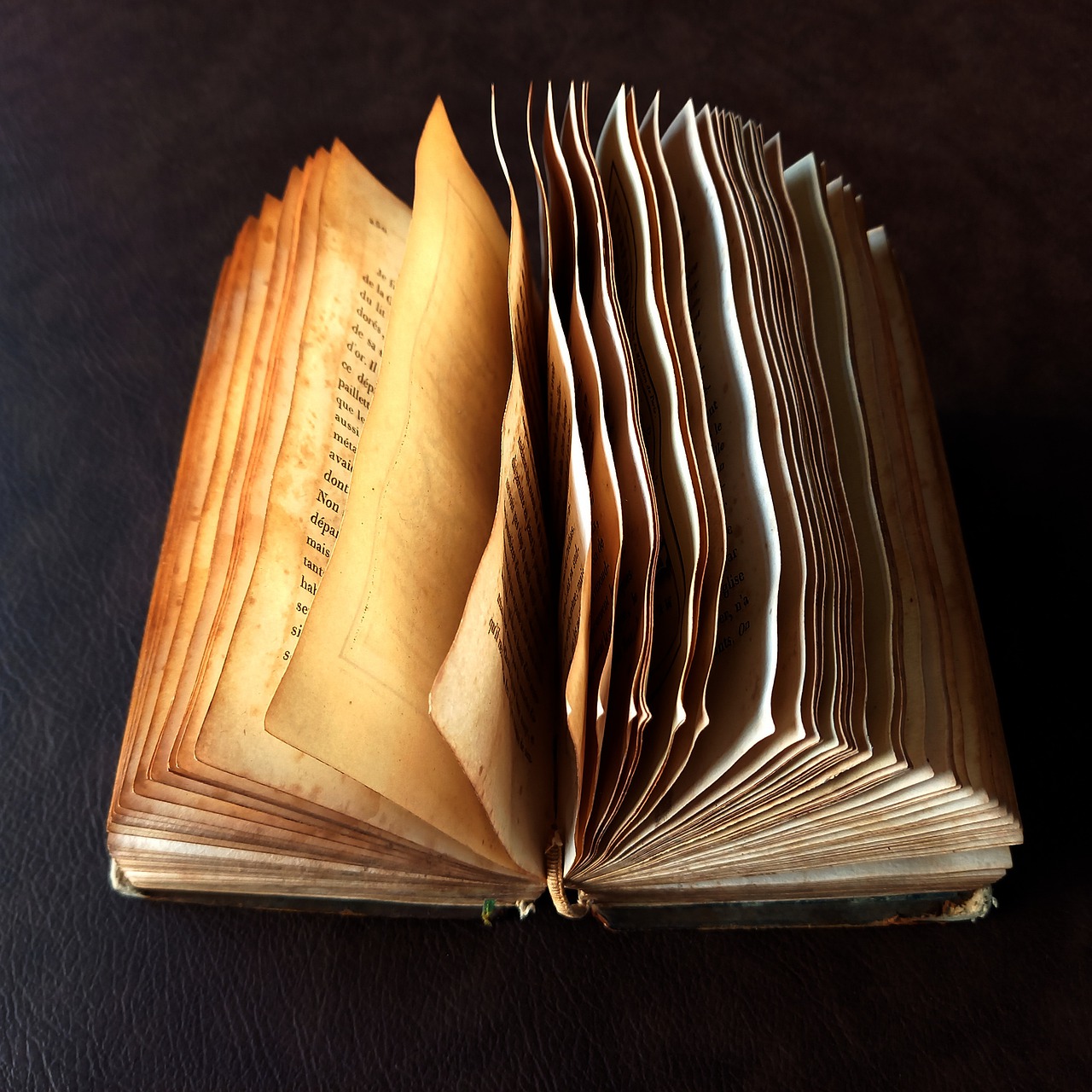 Book Old Old Book Literature  - Eleatell / Pixabay