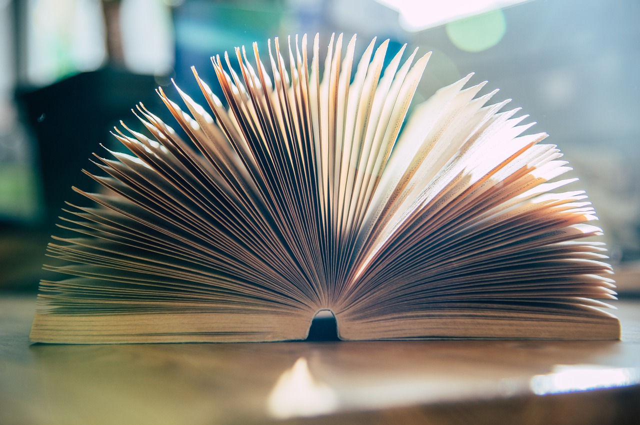 Book Pages Paper Literature Novel - wal_172619 / Pixabay