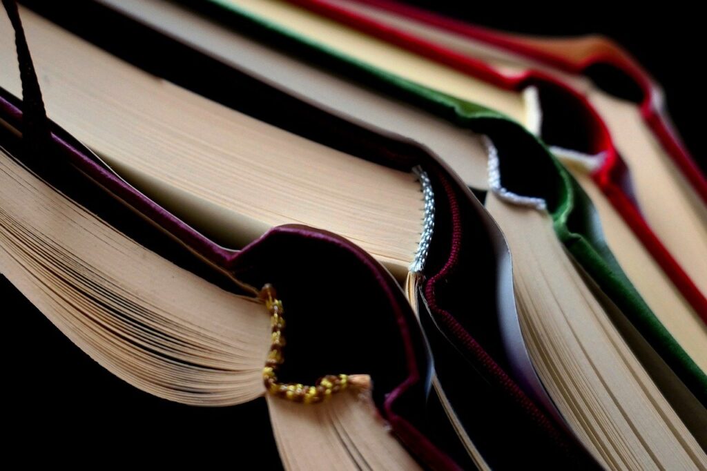 Book Read Literature School  - moritz320 / Pixabay