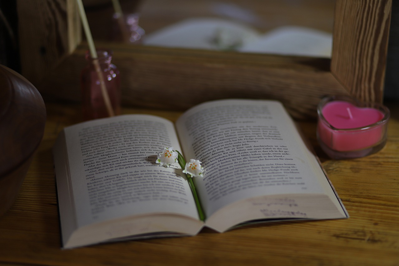 Book Reading Literature Old Book - alandsmann / Pixabay