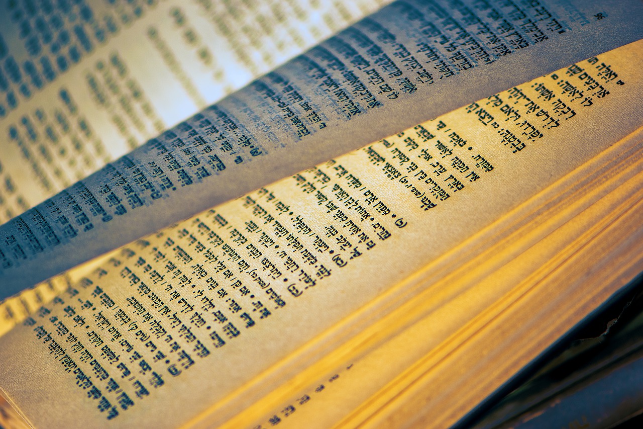 Book Reading Pages Paper  - Ri_Ya / Pixabay