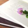 Book Red Clover Botany Flower  - subarasikiai / Pixabay