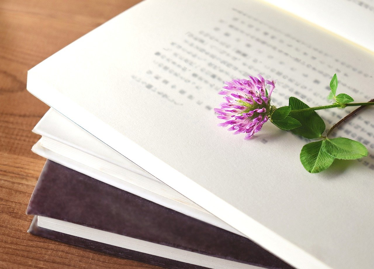 Book Red Clover Botany Flower  - subarasikiai / Pixabay