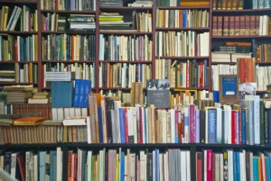 Books Antiquariat Shelf Literature  - misterfarmer / Pixabay