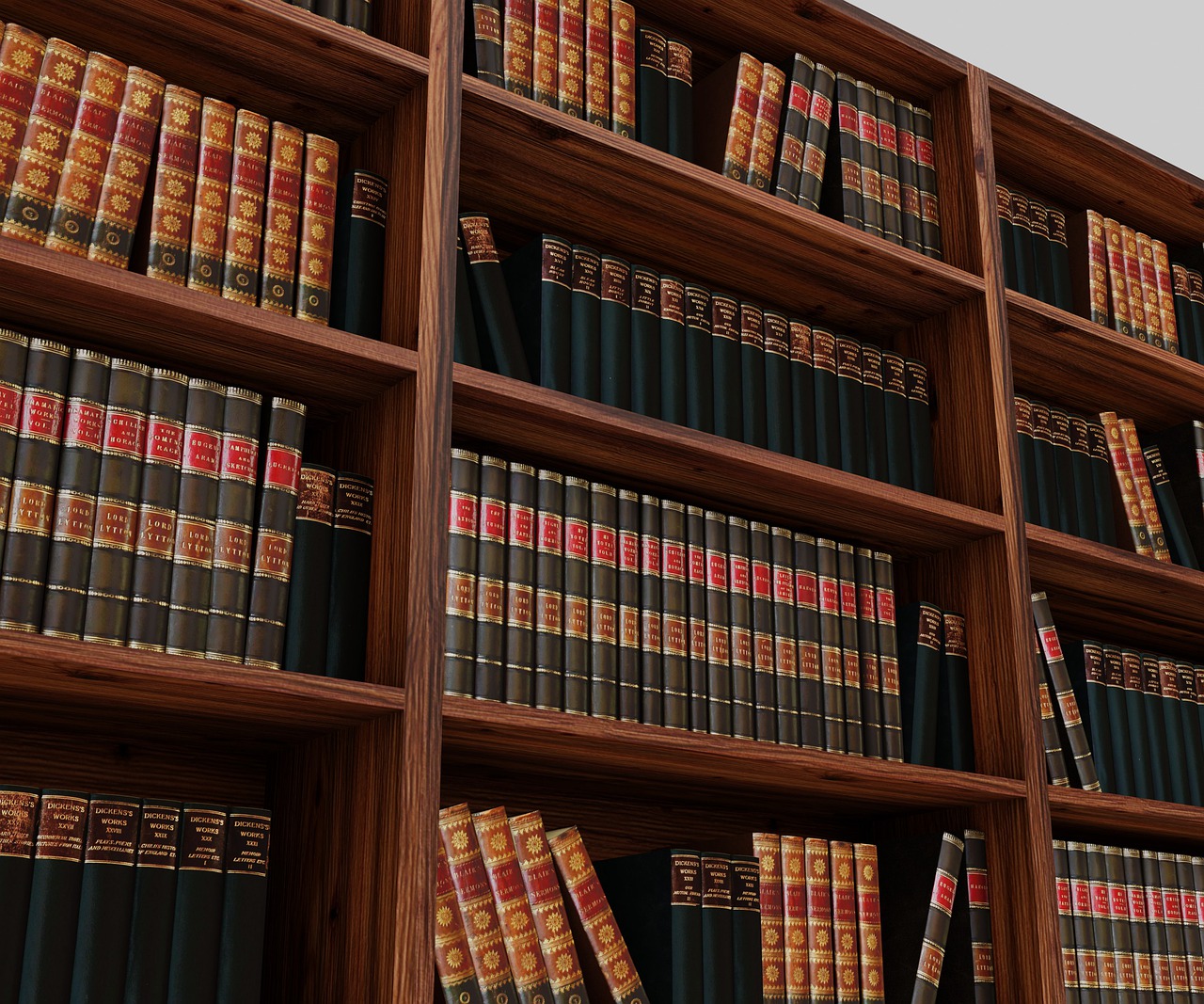 Books Bookshelf Bookcase Library  - AlexAntropov86 / Pixabay