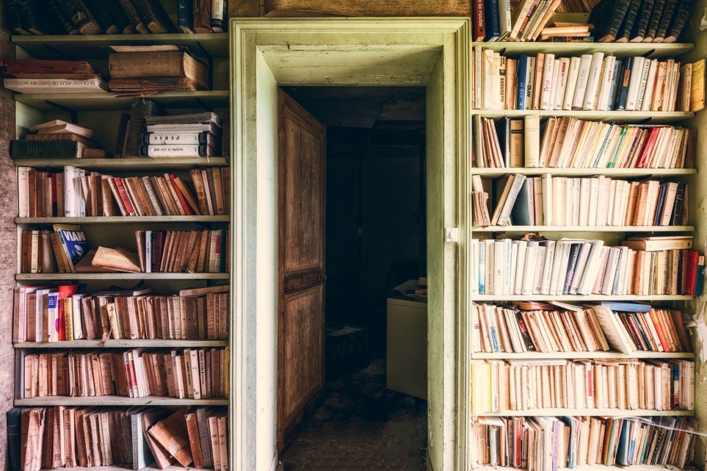 Books Collection Literature  - Tama66 / Pixabay