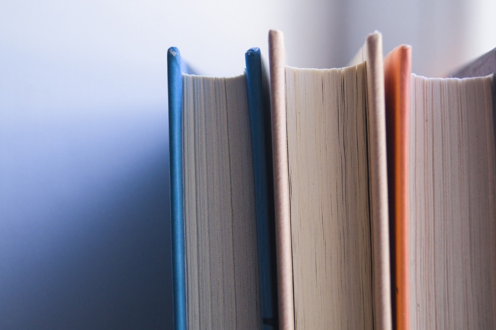 Books Learning Literature Education  - marivpova / Pixabay