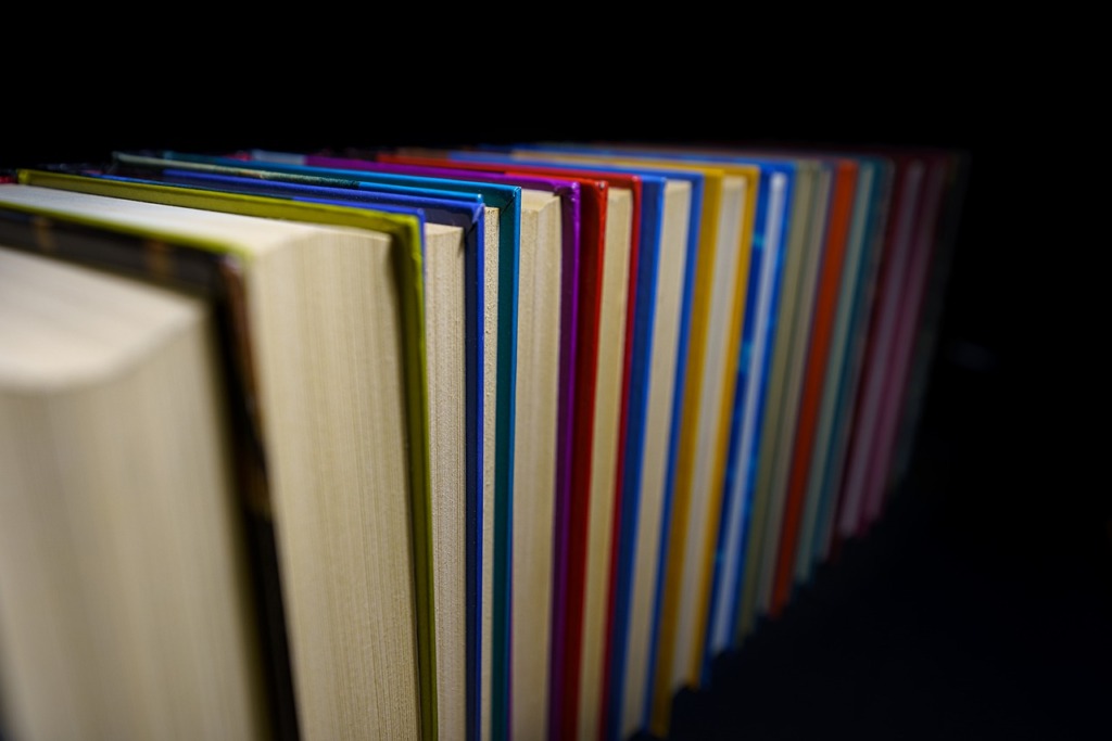Books Library Shelving Reading  - alterRPC / Pixabay