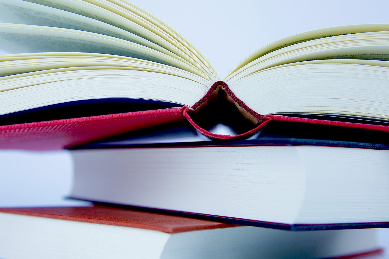 Books Literature Knowledge  - Hermann / Pixabay