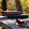 Books Literatures Wood Knowledge  - artellliii72 / Pixabay