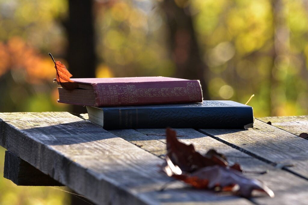 Books Literatures Wood Knowledge  - artellliii72 / Pixabay