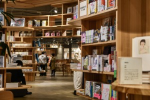 Books Manga Comic Bookshelf  - Johnnys_pic / Pixabay