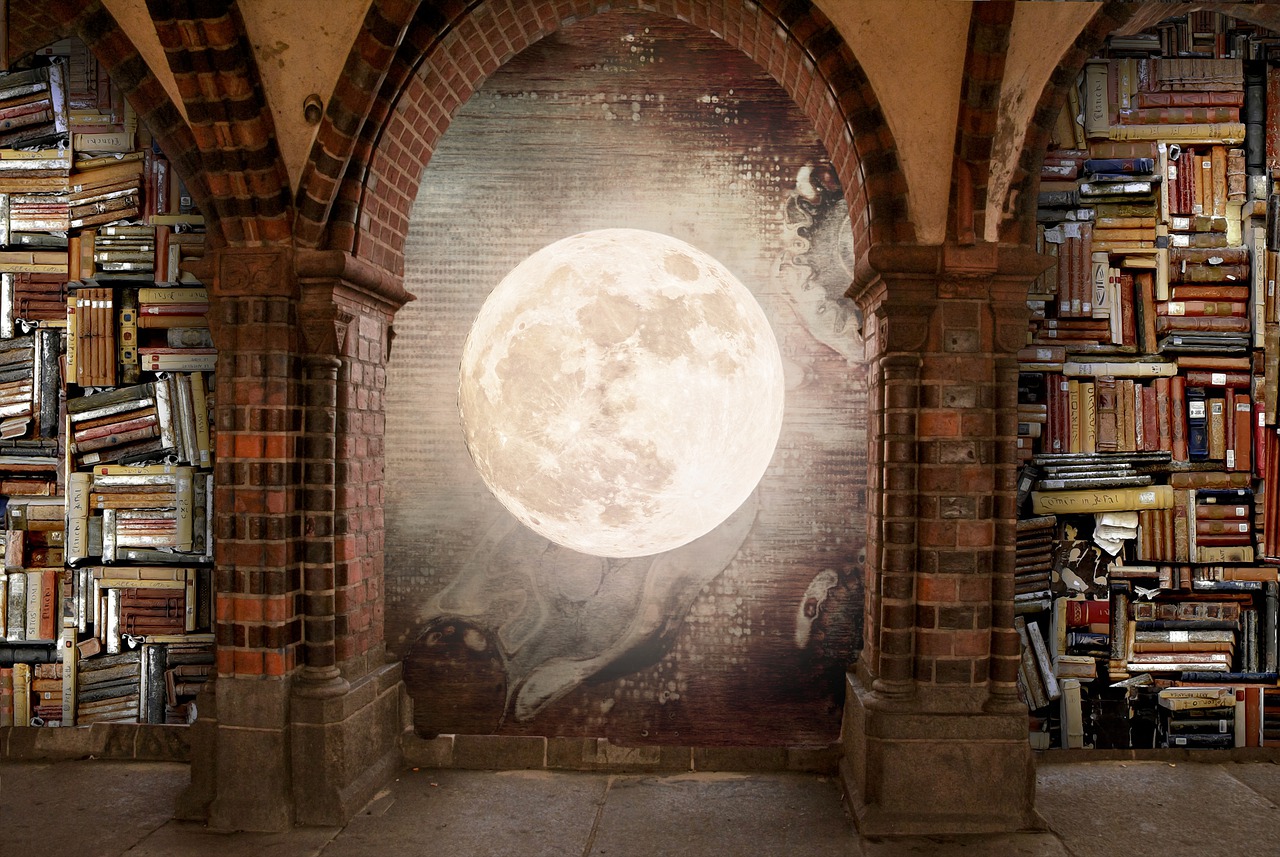 Books Moon Library Bookstore  - Prettysleepy / Pixabay