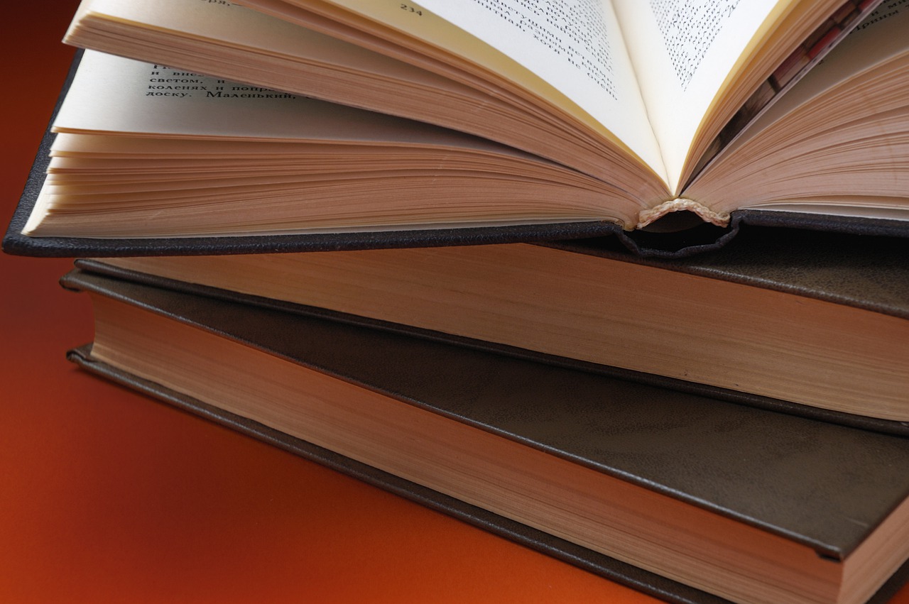 Books Paper Reading Page Education  - ds_30 / Pixabay